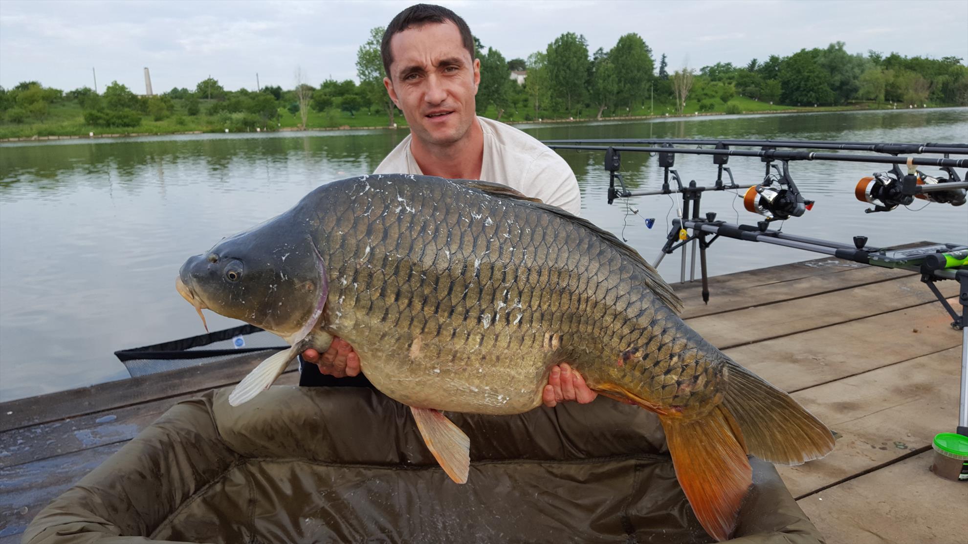 Hermes Peris 2016 - 20160606083458.jpg